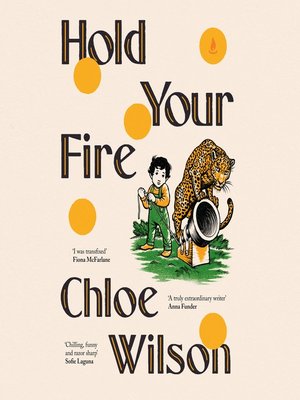 cover image of Hold Your Fire